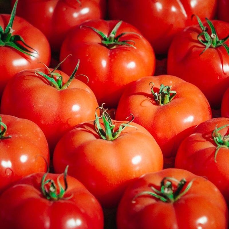 Tomatoes (Indeterminate)