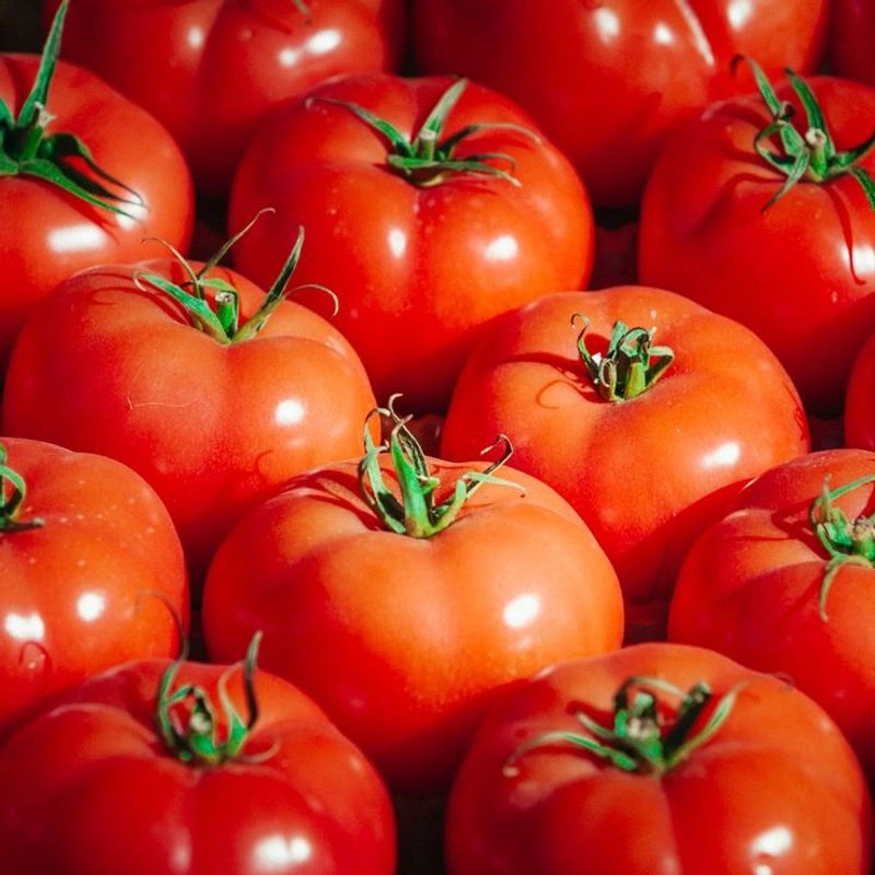 Tomatoes (Indeterminate)
