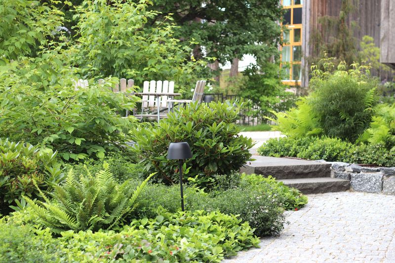 Tranquil Moss Garden