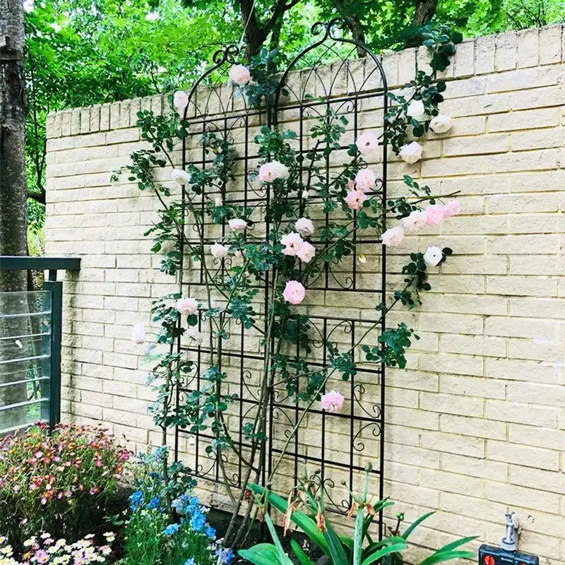 Trellis for Climbing Plants