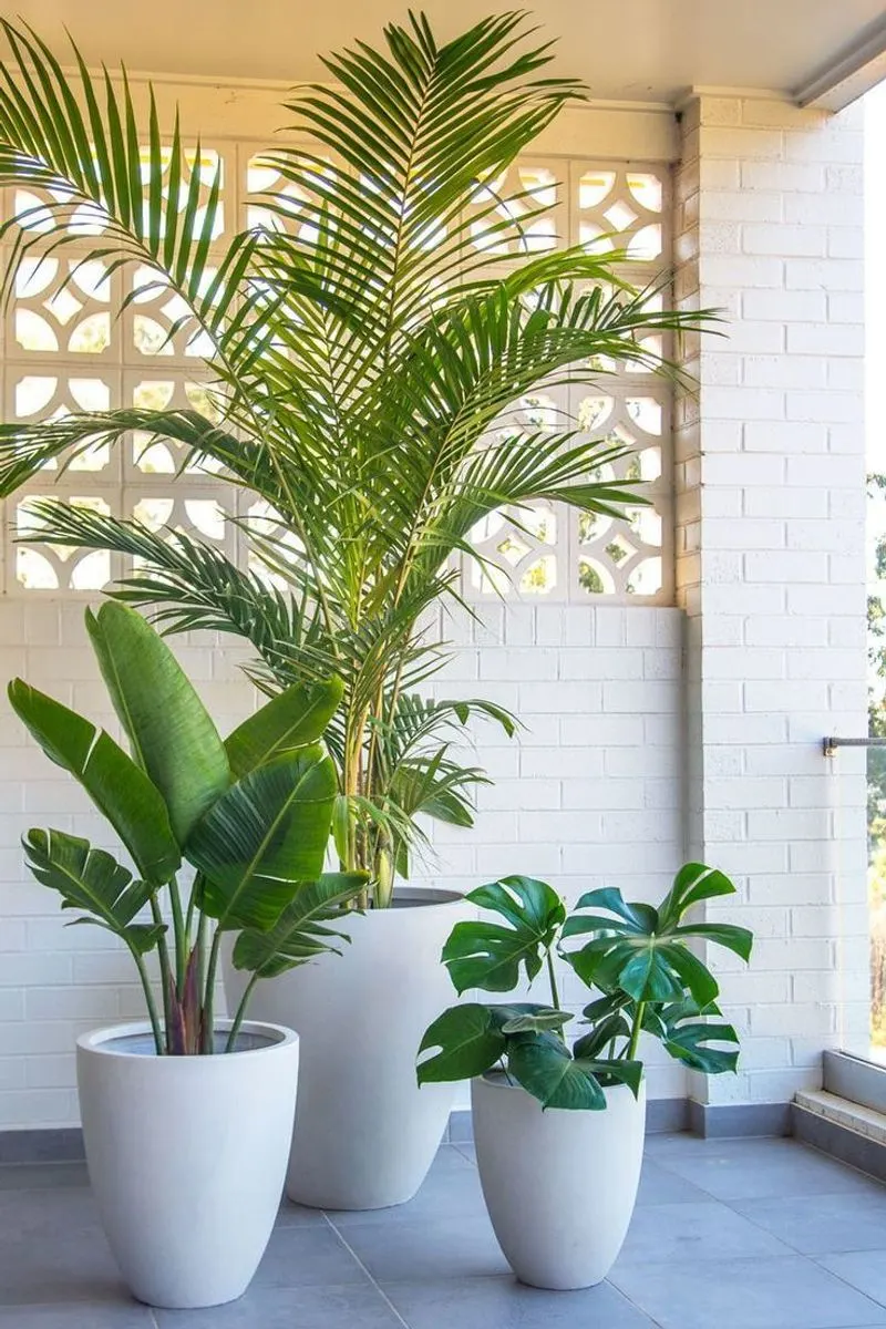 Tropical Plant Haven