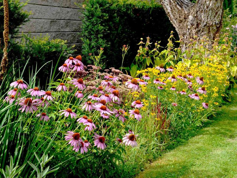 Truth 3: Native Plants Require Less Maintenance