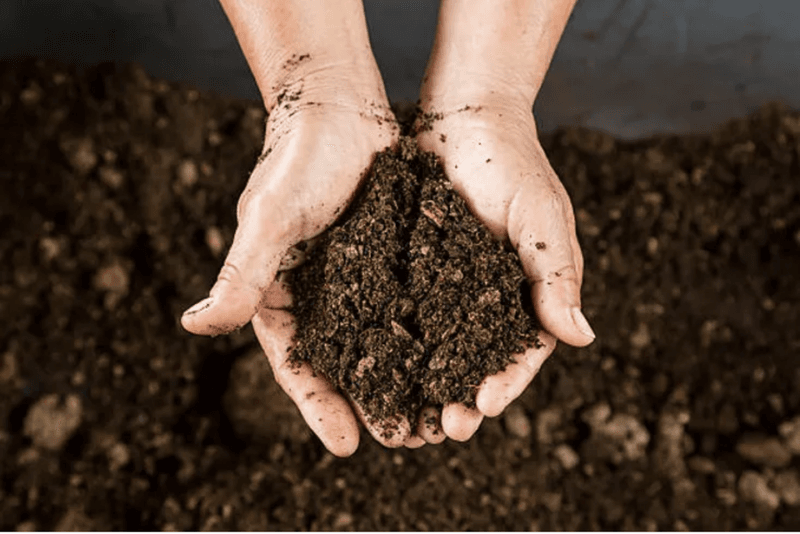 Truth 4: Composting Can Transform Waste into Valuable Soil
