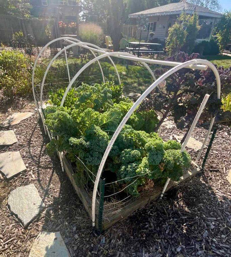 Truth 5: Season Extension Techniques Allow for Year-Round Gardening