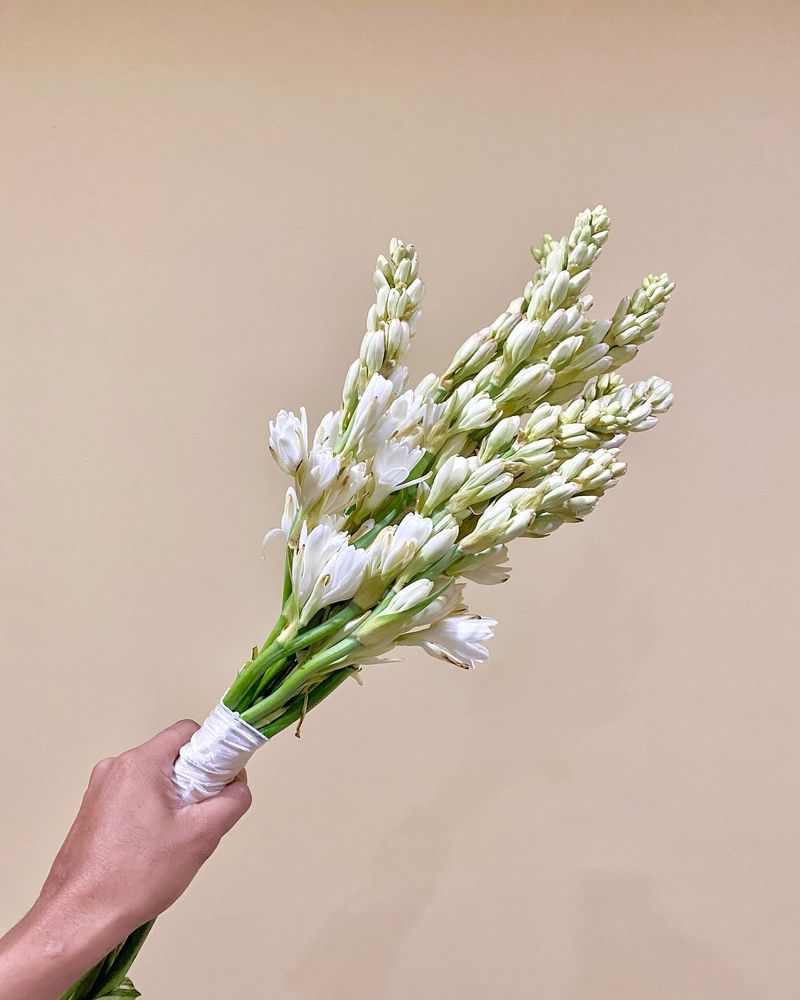 Tuberose