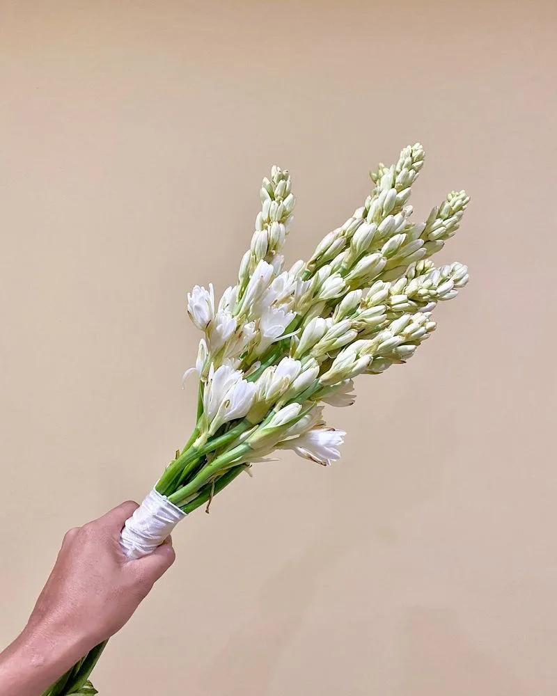 Tuberose
