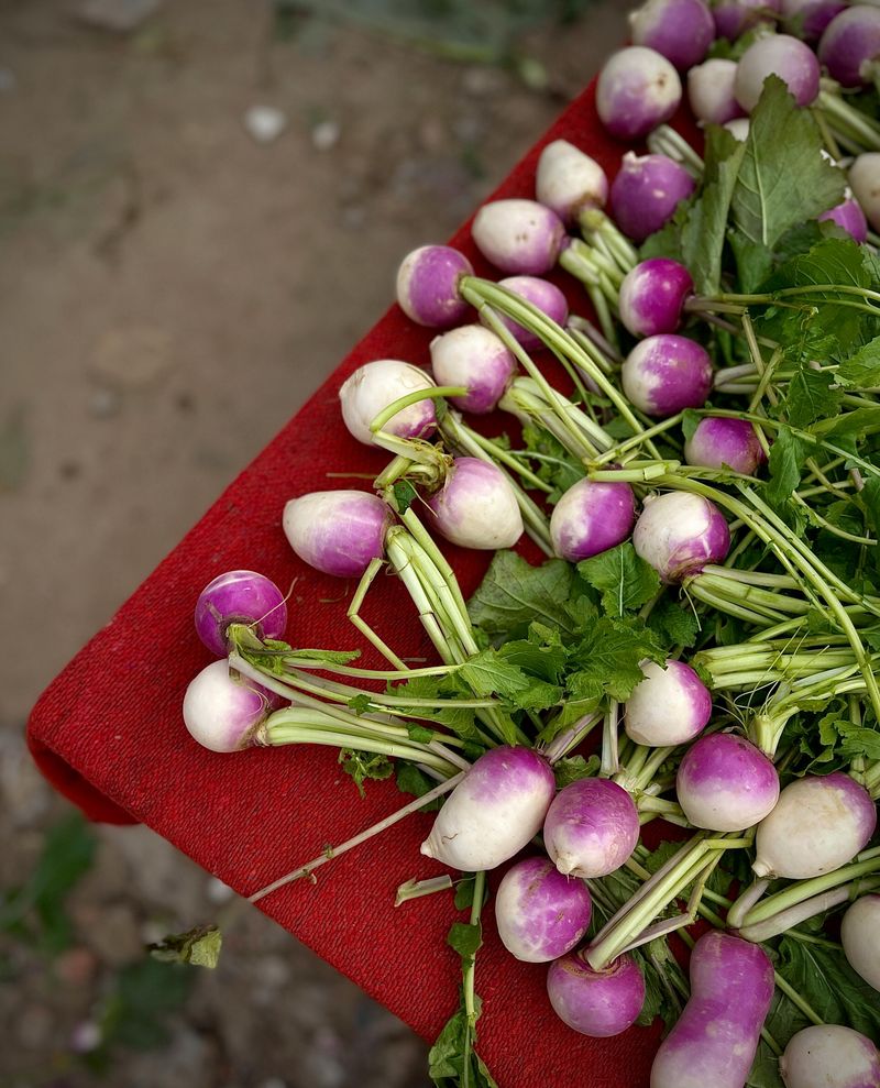 Turnips