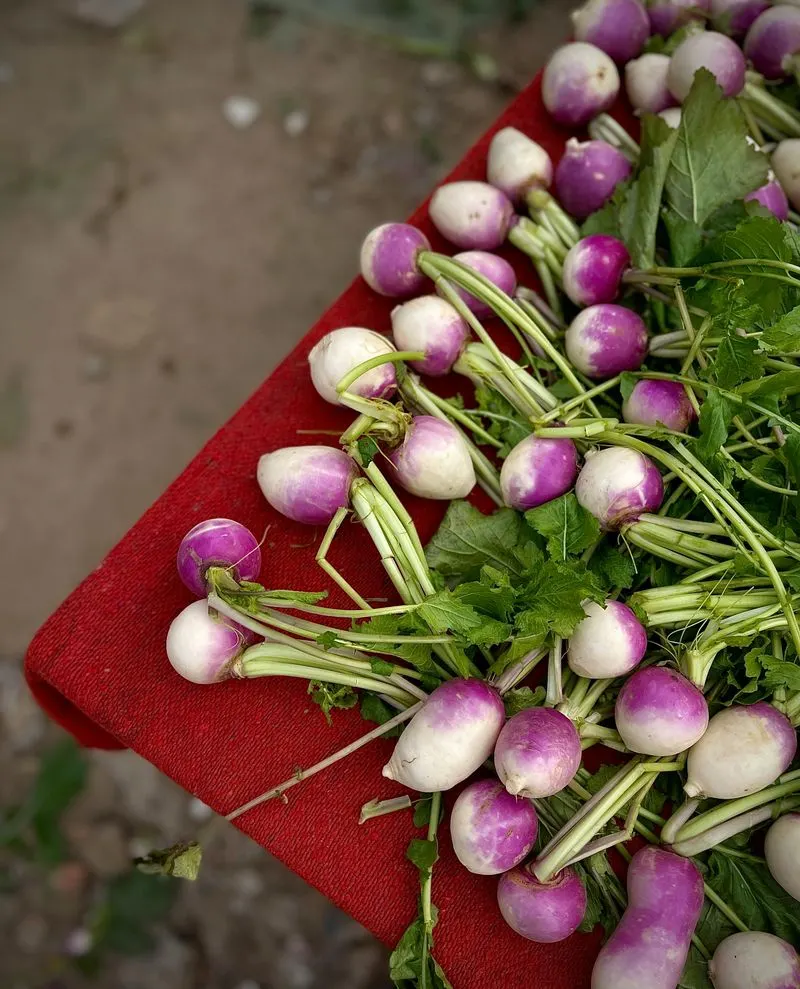 Turnips