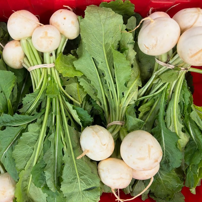 Turnips