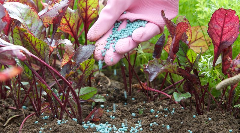 Unbalanced Fertilization