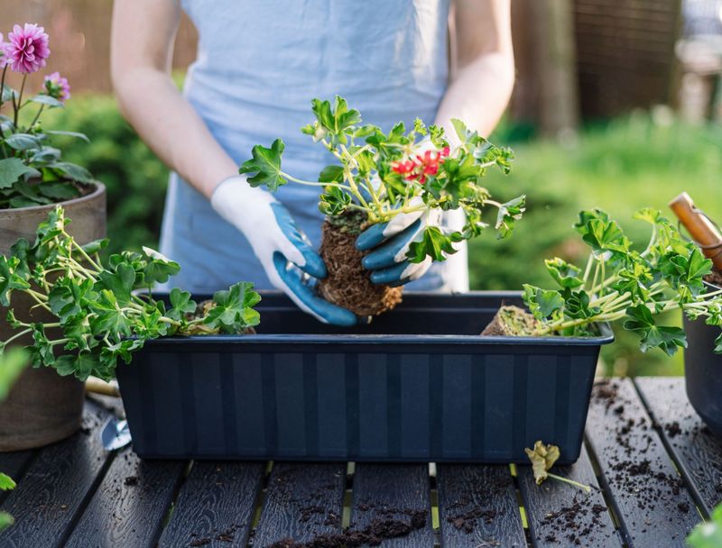 Unbalanced Plant Arrangement