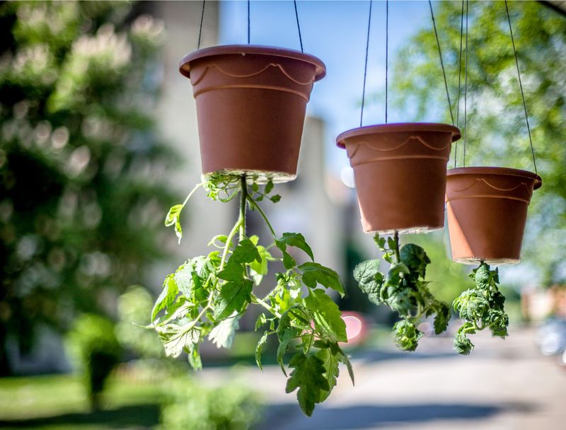 Upside-Down Planters