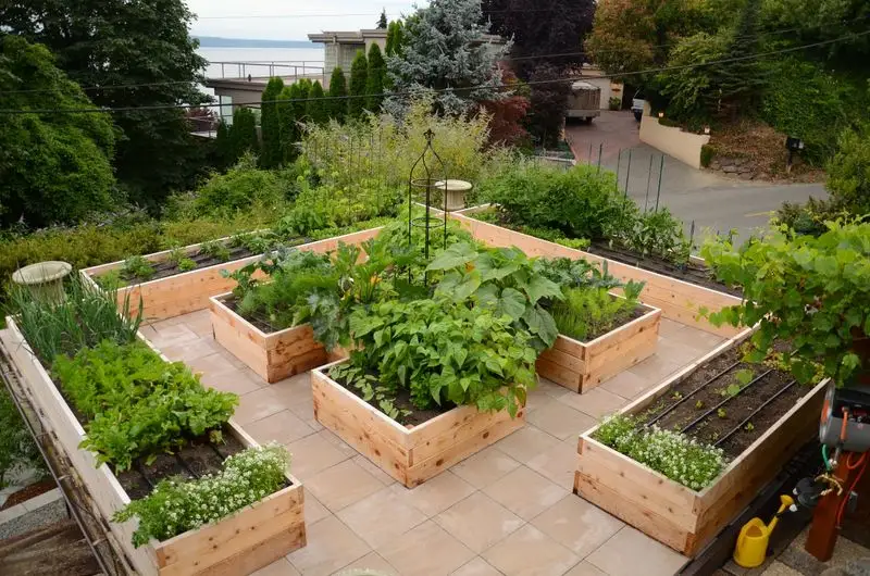 Urban Rooftop Gardens