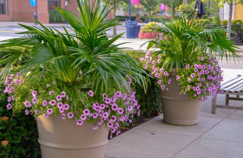 Use Large Planters