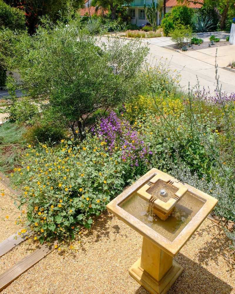 Use Native Plants