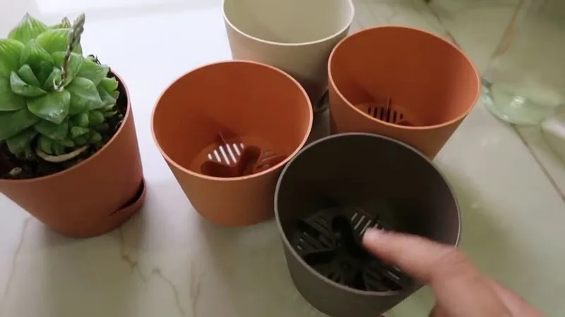 Use Self-Watering Pots