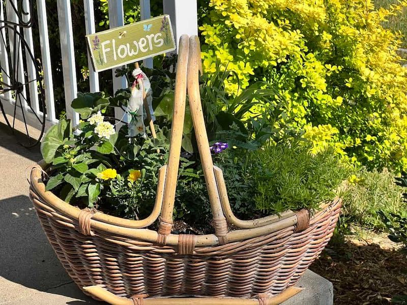 Use a Basket as a Planter