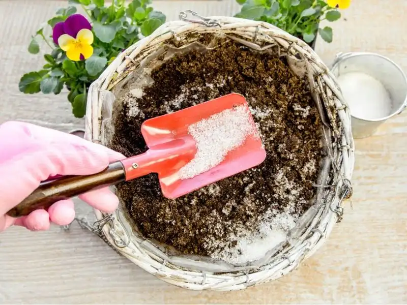 Use a Moisture-Retaining Gel