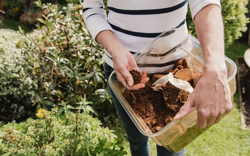 Using Coffee Grounds as Fertilizer