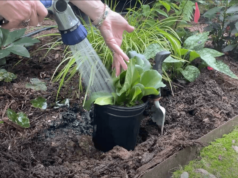 Using Cold Water