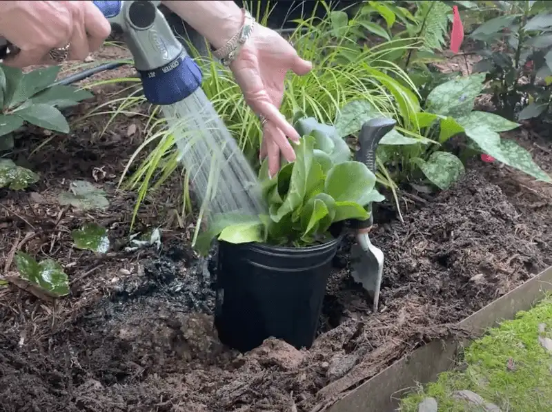 Using Cold Water