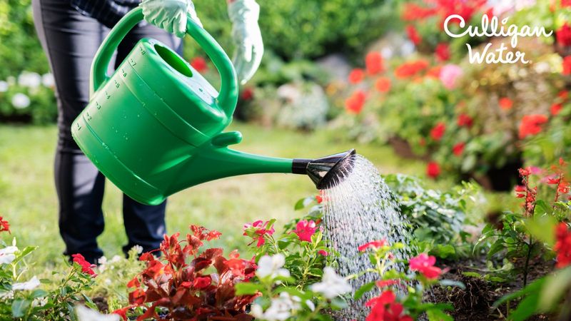 Using Hard Water