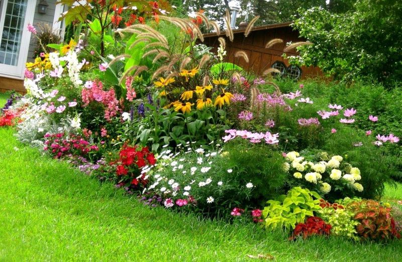 Using Non-Native Plants