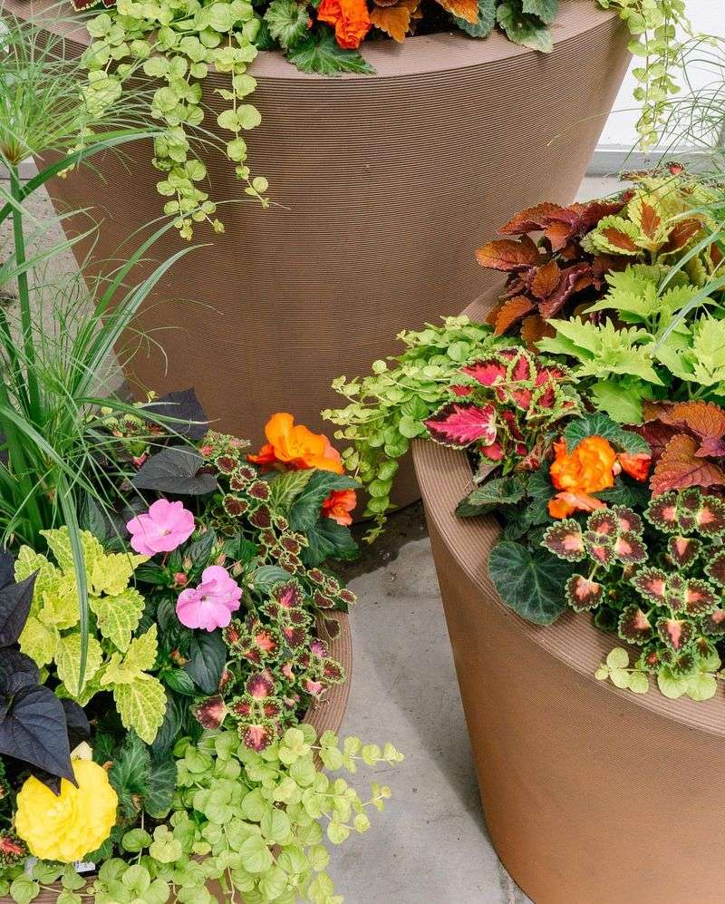 Using Recycled Containers