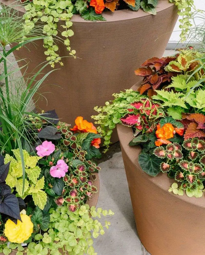 Using Recycled Containers