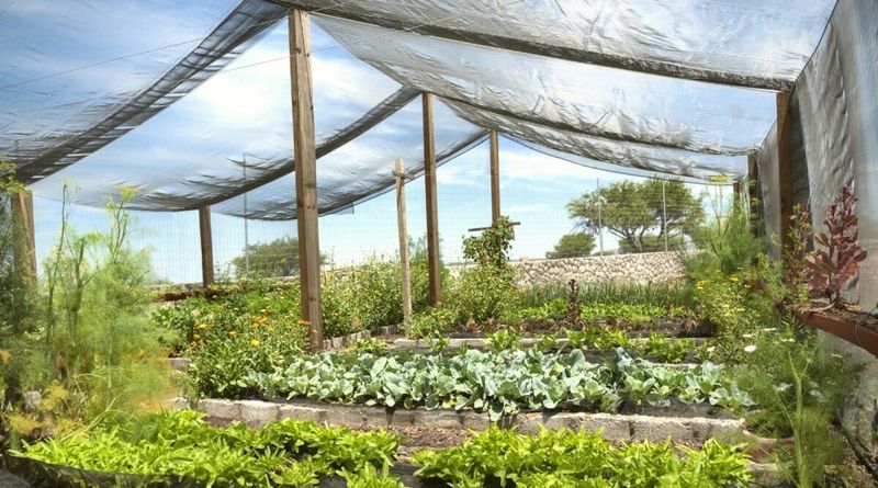 Using Shade Cloth