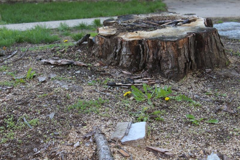 Leveraging Natural Decay