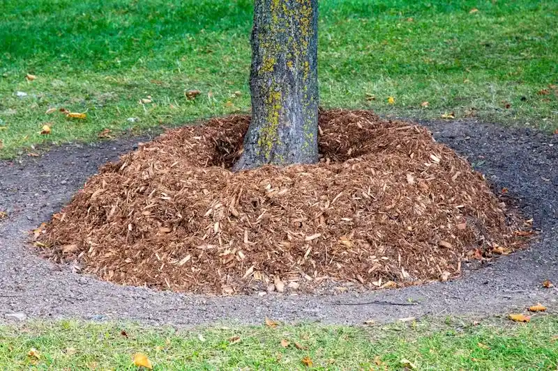 Using the Wrong Mulch