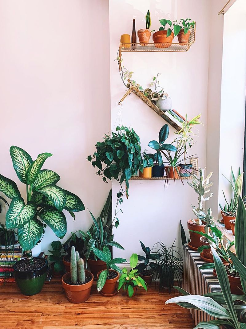Utilize Floating Shelves