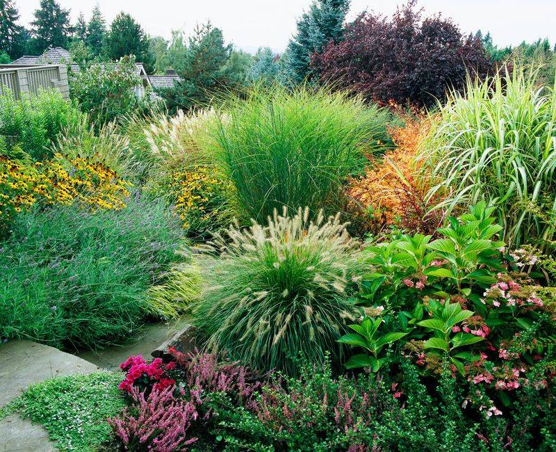 Utilizing Ornamental Grasses