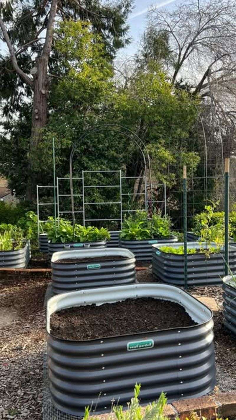 Utilizing Raised Beds