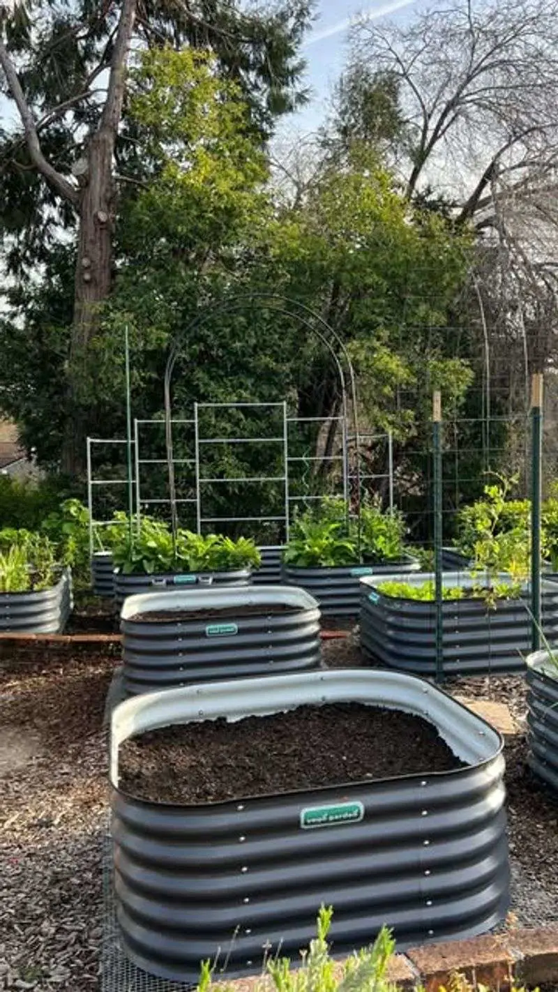 Utilizing Raised Beds