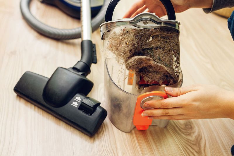 Vacuum Cleaner Dust