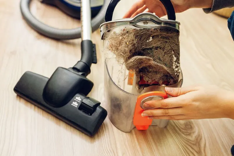 Vacuum Cleaner Dust