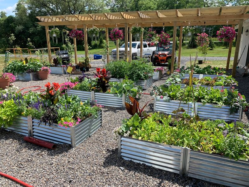 Vegetable Garden in Raised Beds