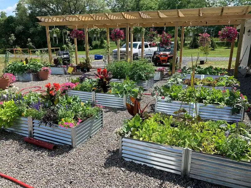 Vegetable Garden in Raised Beds