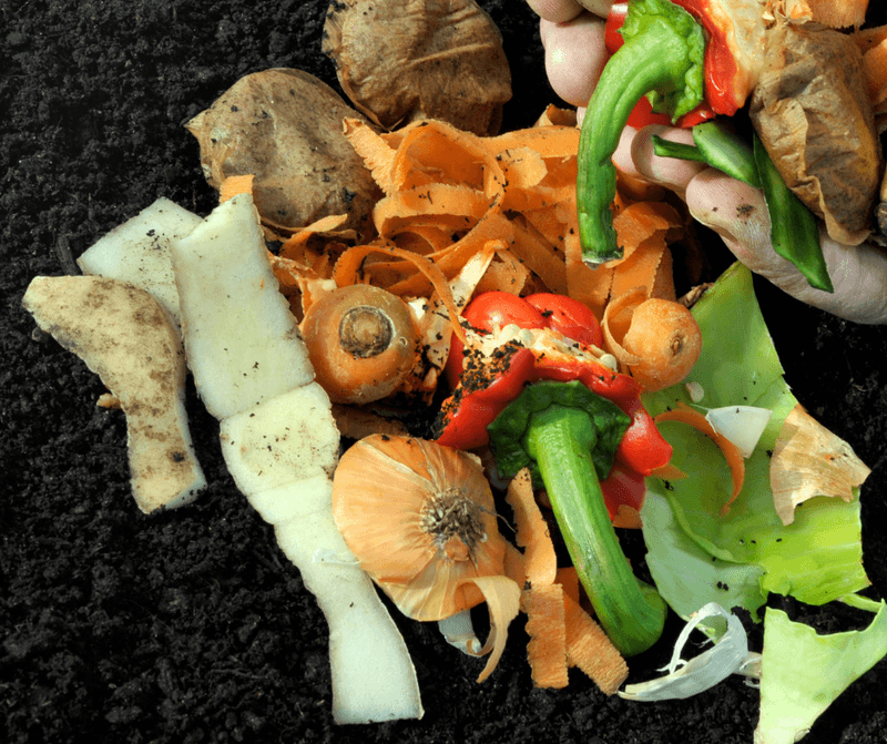 Vegetable Peelings