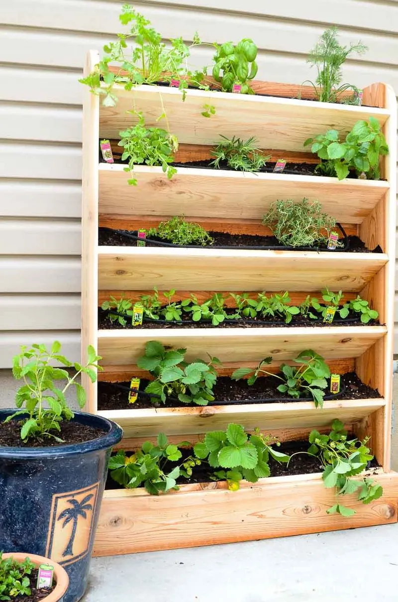 Vertical Garden