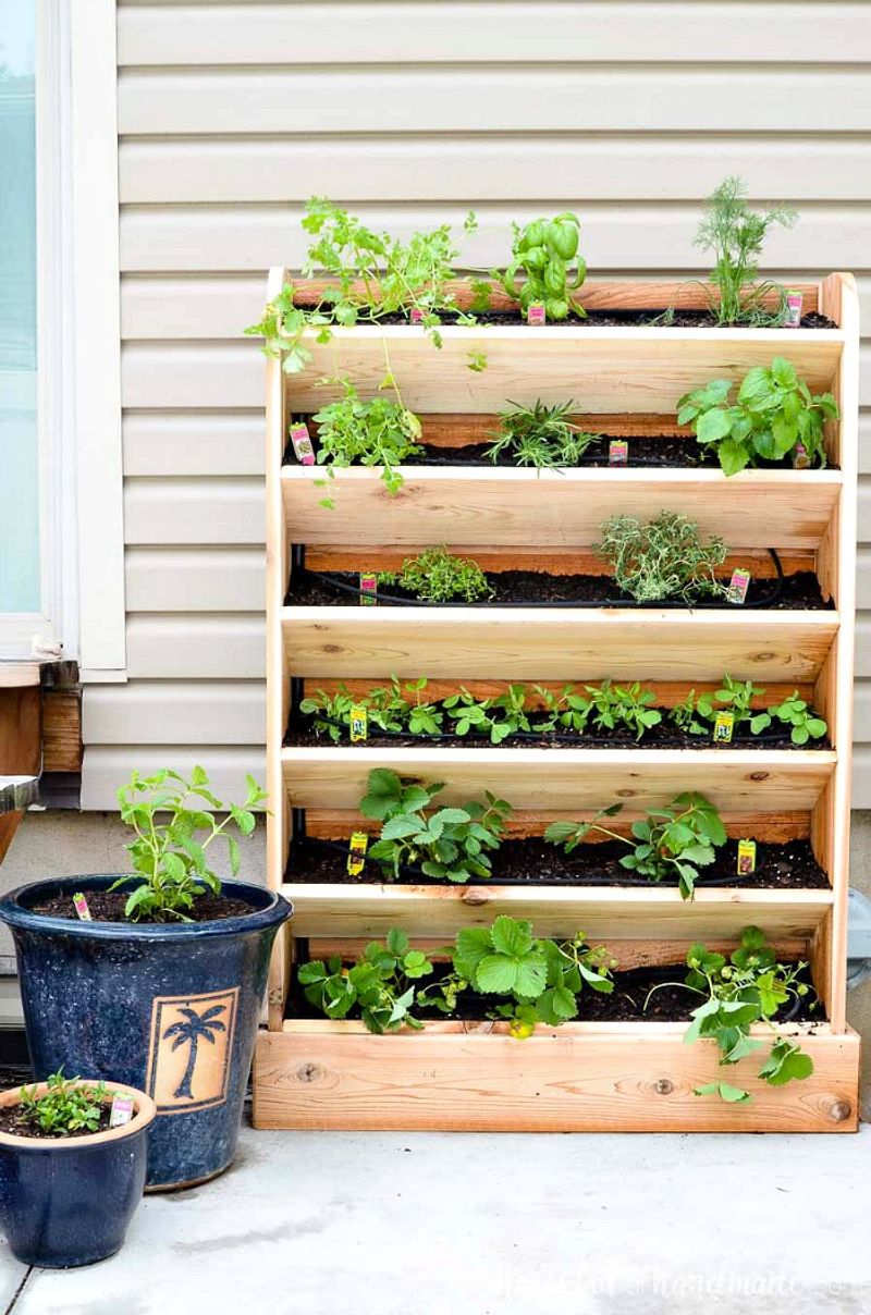Vertical Garden Wall