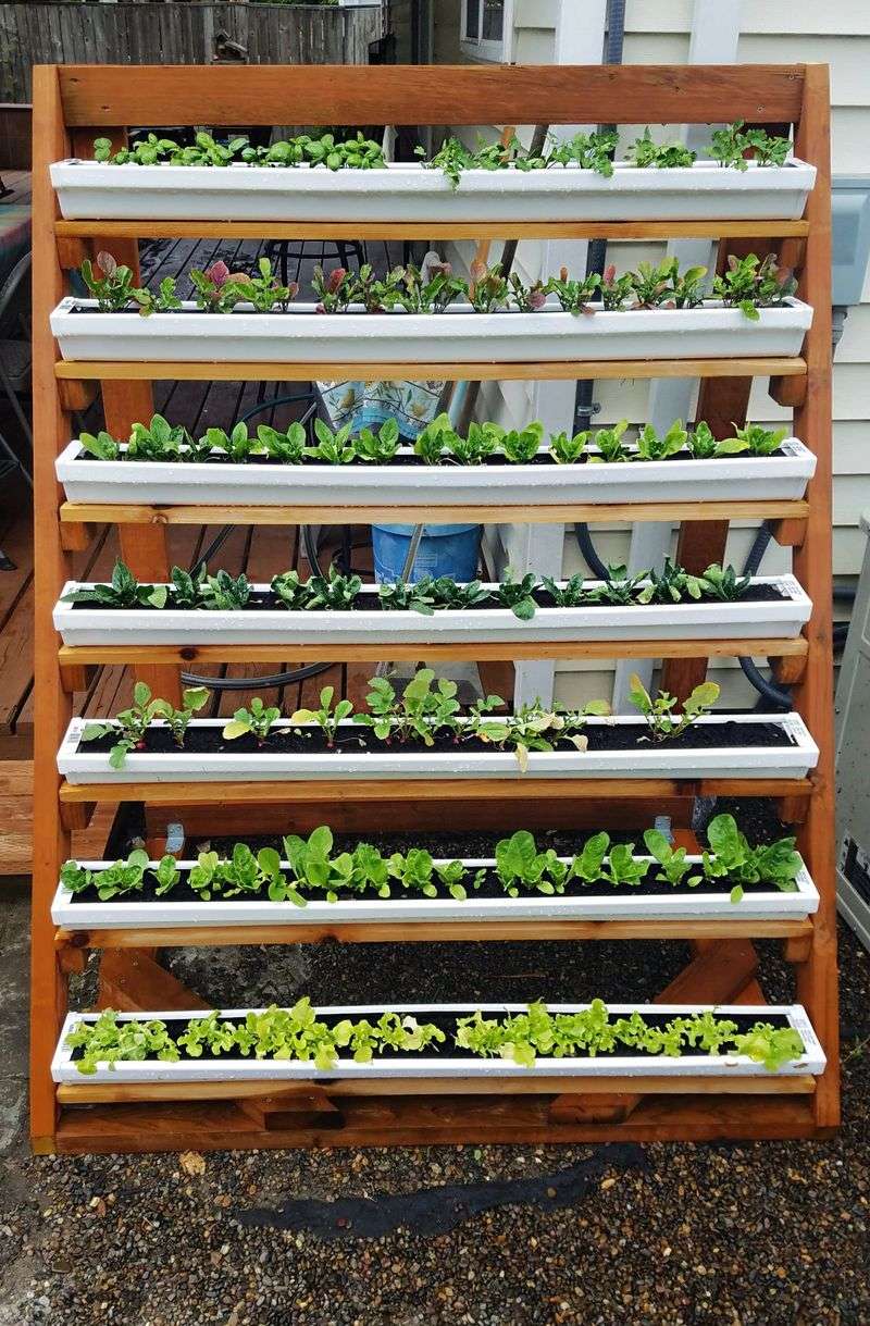 Vertical Gardening