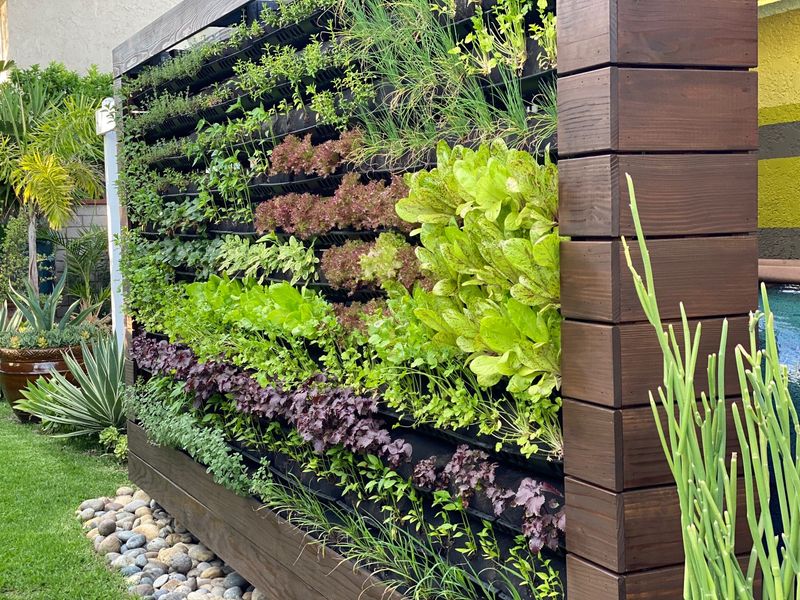 Vertical Gardens