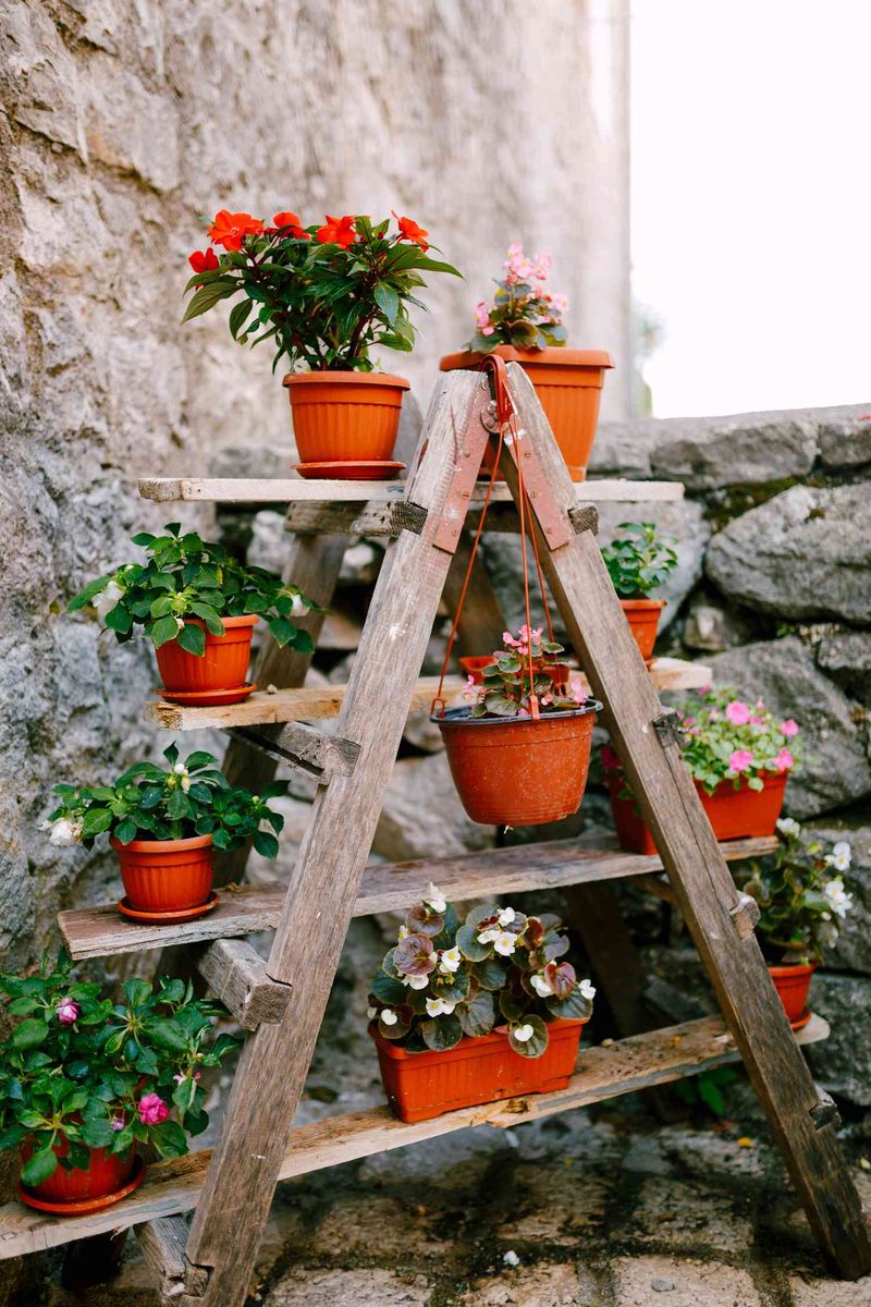 Vertical Gardens