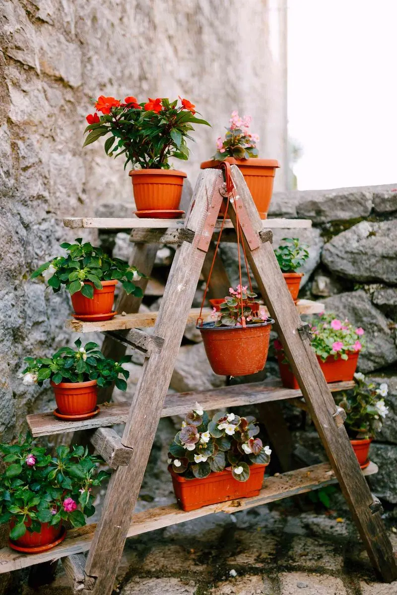 Vertical Gardens