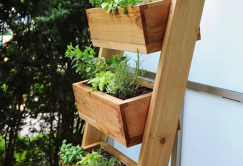 Vertical Herb Garden