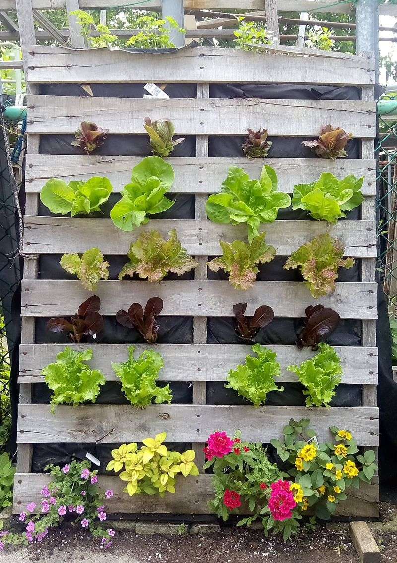 Vertical Pallet Garden