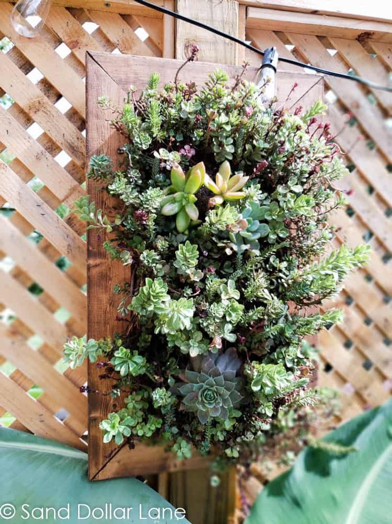 Vertical Succulent Garden